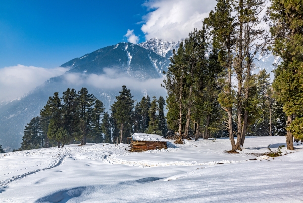 kashmir